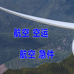 陇南成县航空快运快递-选东方航空和上海航空