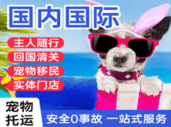 陇南成县航空快运国际宠物托运 【国
